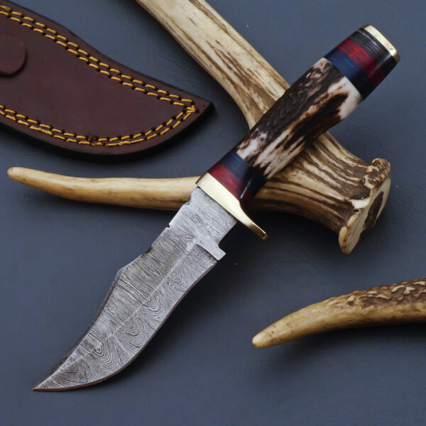 Stag Horn Clip point Hunting Knife